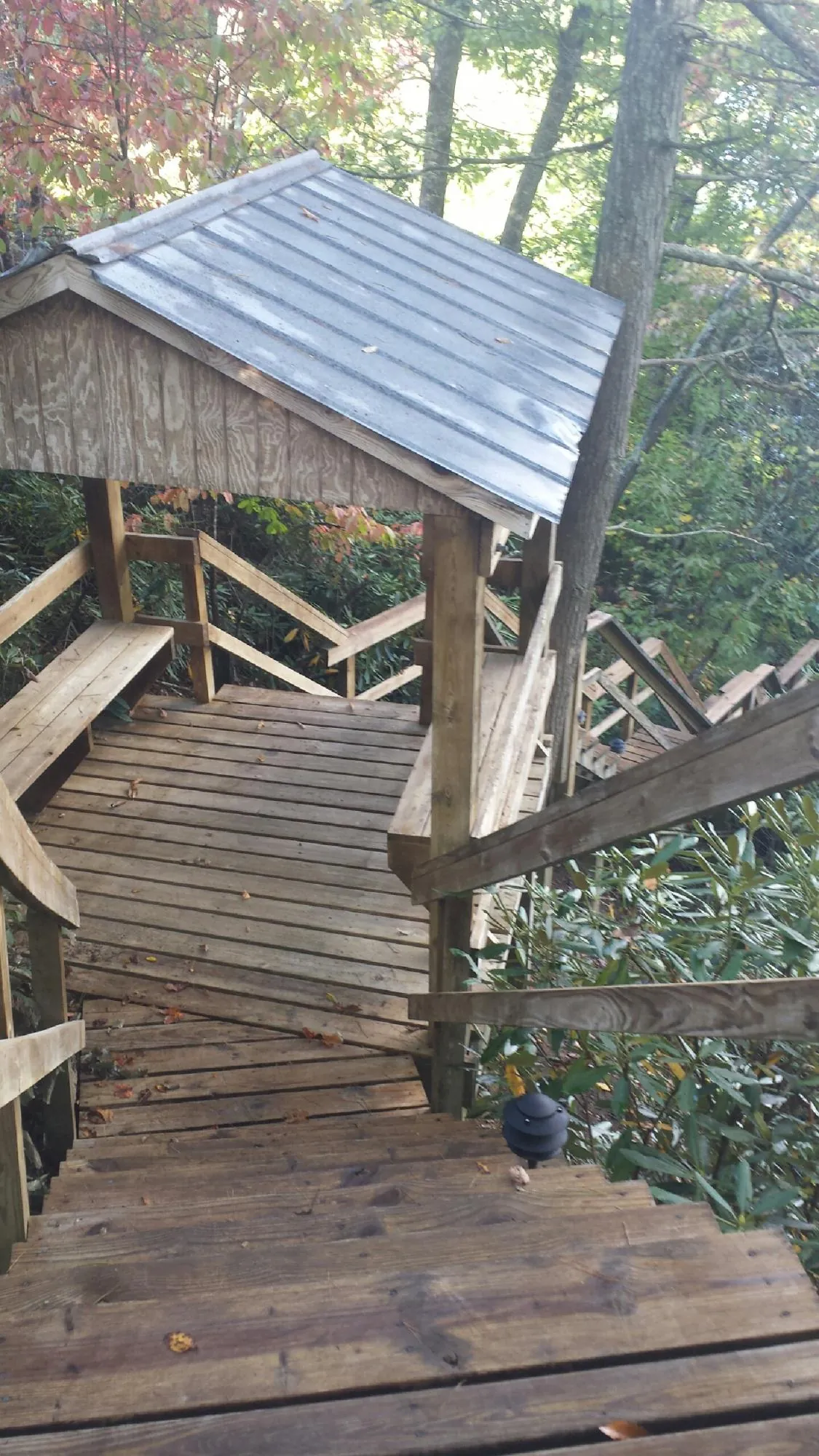 Metal roofed shelter over wooden steps on a wooded walkway — Skylight Repair & Installation work by our crew in George